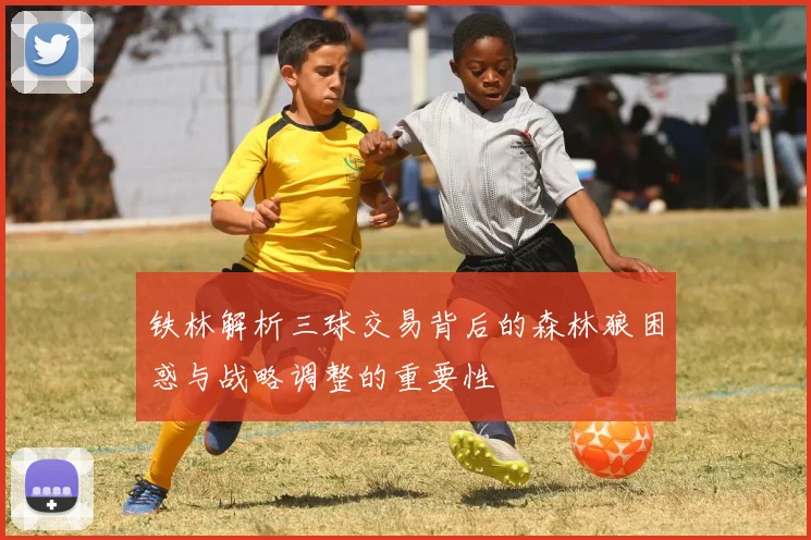 铁林解析三球交易背后的森林狼困惑与战略调整的重要性