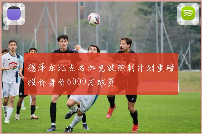 德泽尔比点名加克波热刺计划重磅报价身价6000万球员